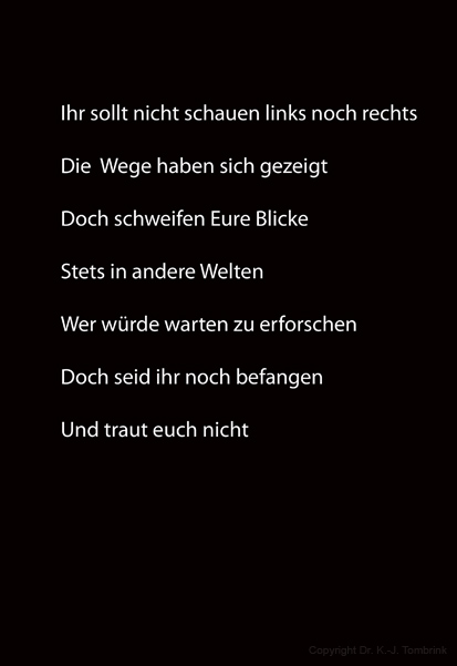 031_Der Tanz_TEXT_Tombrink