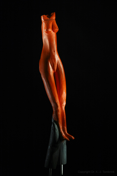 032_Holunder02_Holz_Tombrink_Skulptur