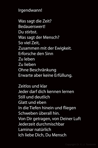 032_Holunder02_TEXT_Tombrink