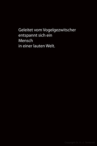 054a_text_TEXT_Tombrink