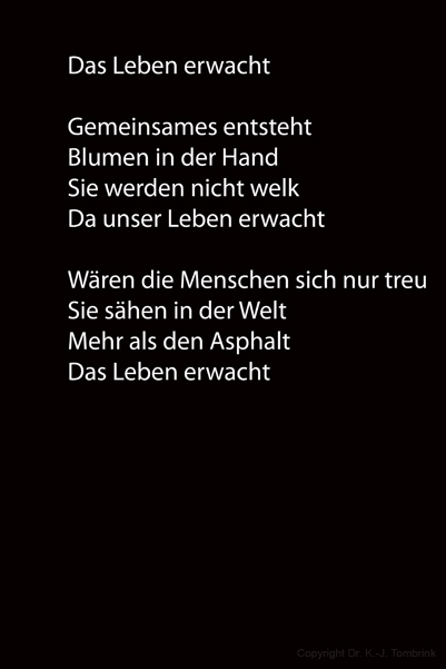 063_La Naissance 02_TEXT_Tombrink