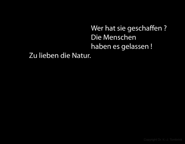 099_Verbeugt_TEXT_Tombrink