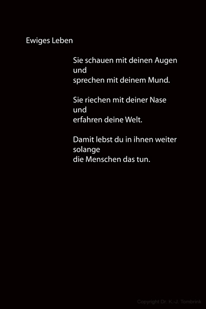 106_text_TEXT_Tombrink