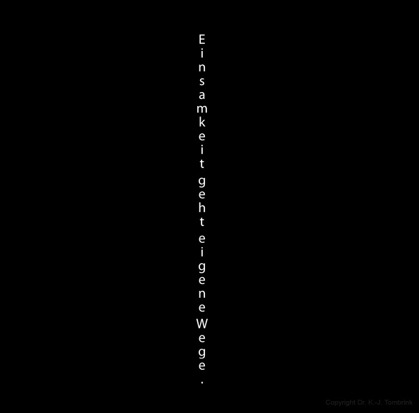 133_Ueber dem See Genezareth_TEXT_Tombrink